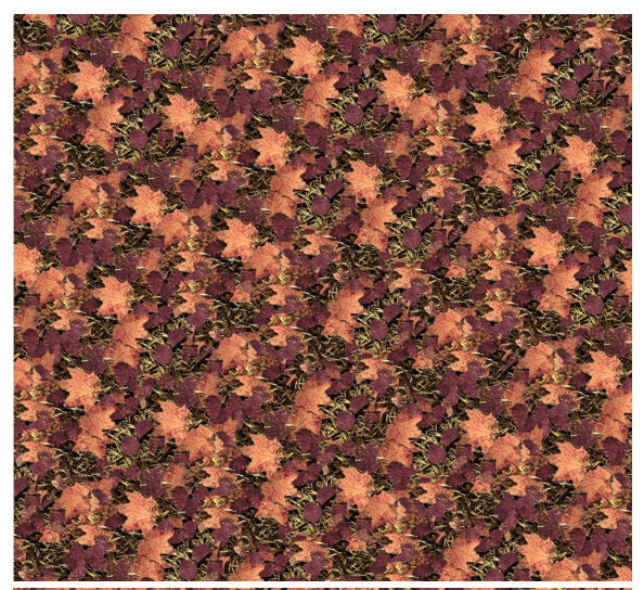 leaf texture