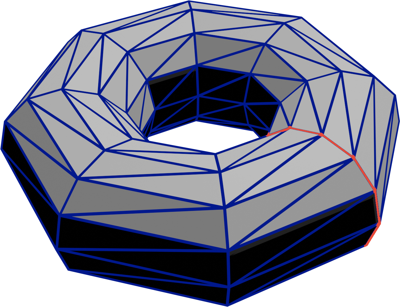 An example torus with polygon boundaries drawn in blue and one of the 8 “rings” highlighted in orange. This torus has 12 points per ring, though that might not be obvious from the image.