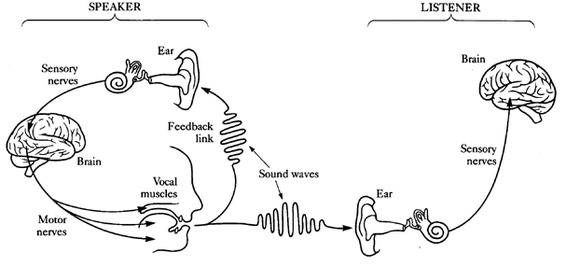 Logo of ECE 537 Speech Processing Fundamentals