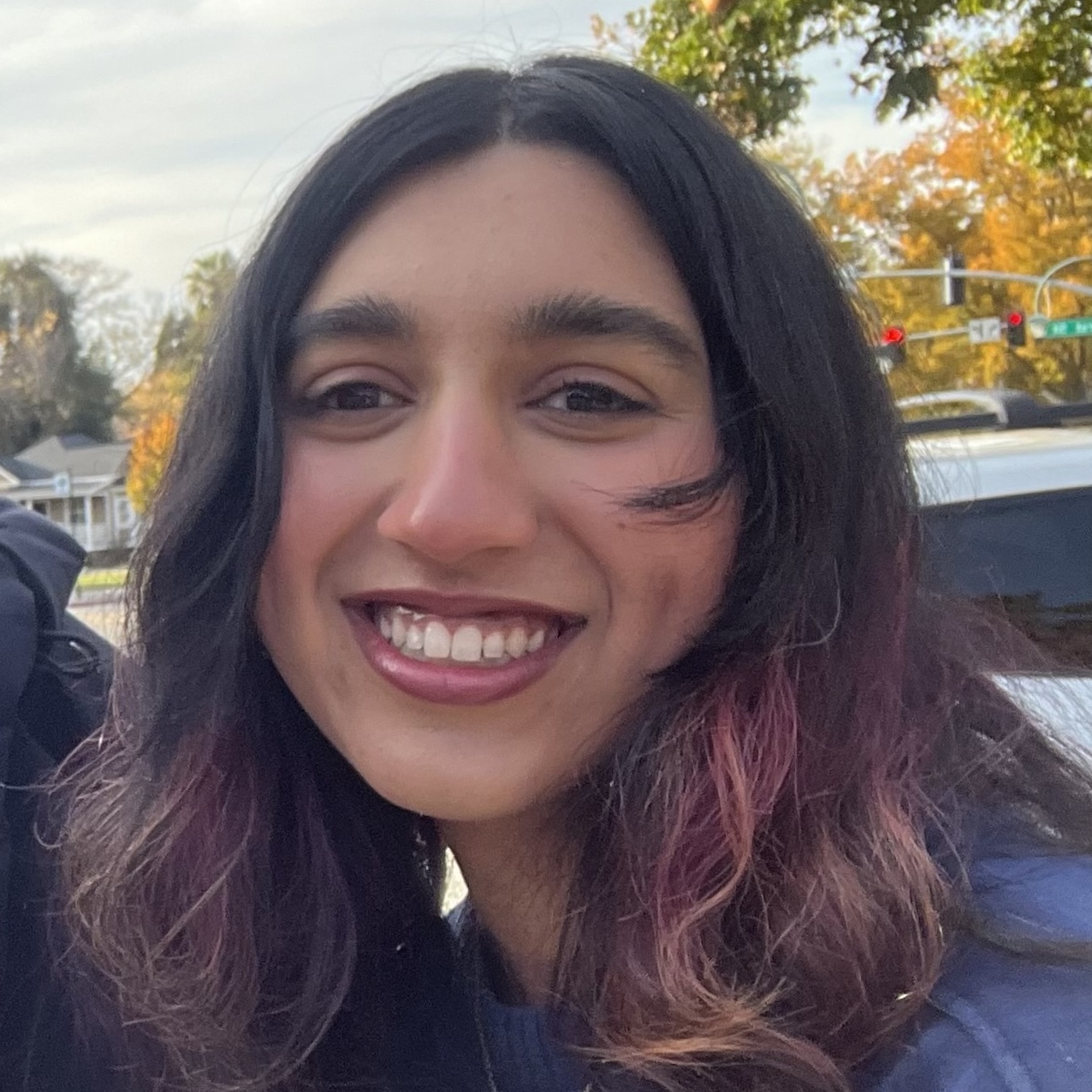 Anisha Rao