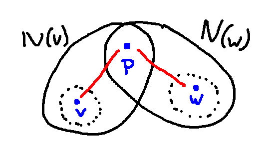 N(v) and N(w) and p with path