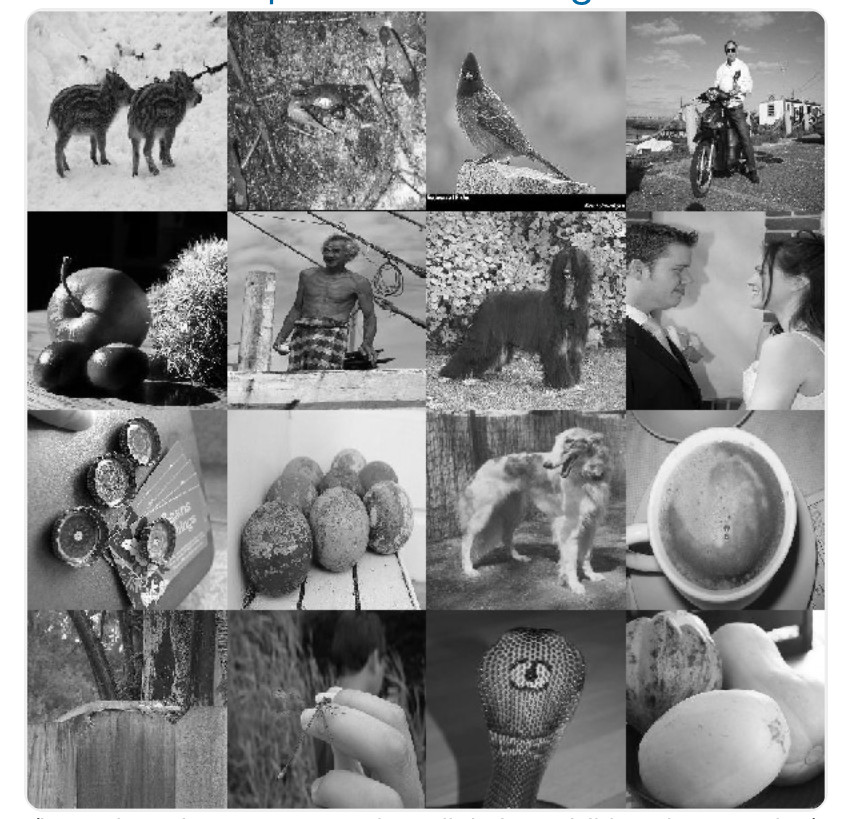 16 random black and white images
