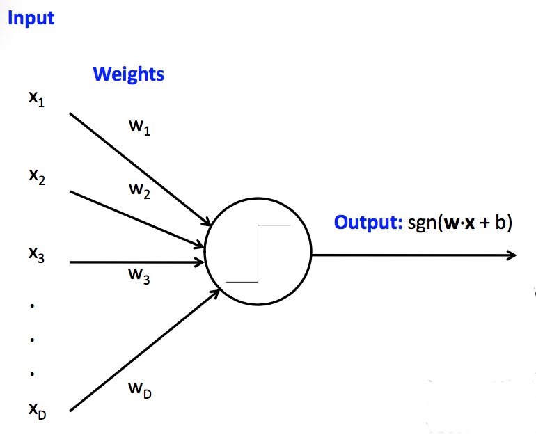 a perceptron drawn to look like a neuron