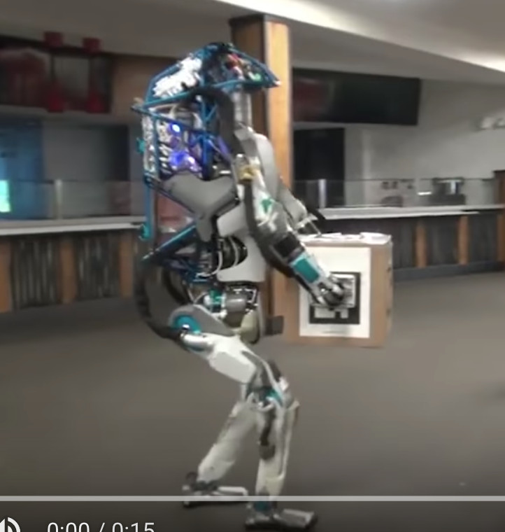 humanoid robot carrying block