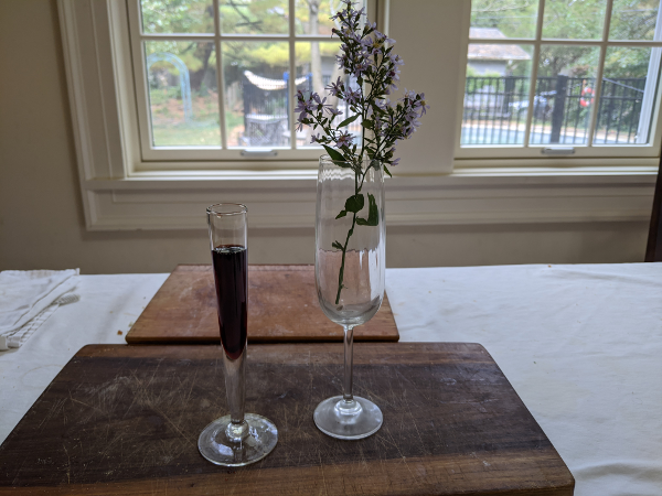 a maybe vase filled with liquid and a wine glass filled with flowers