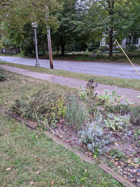 garden bed next to sidewalk and street