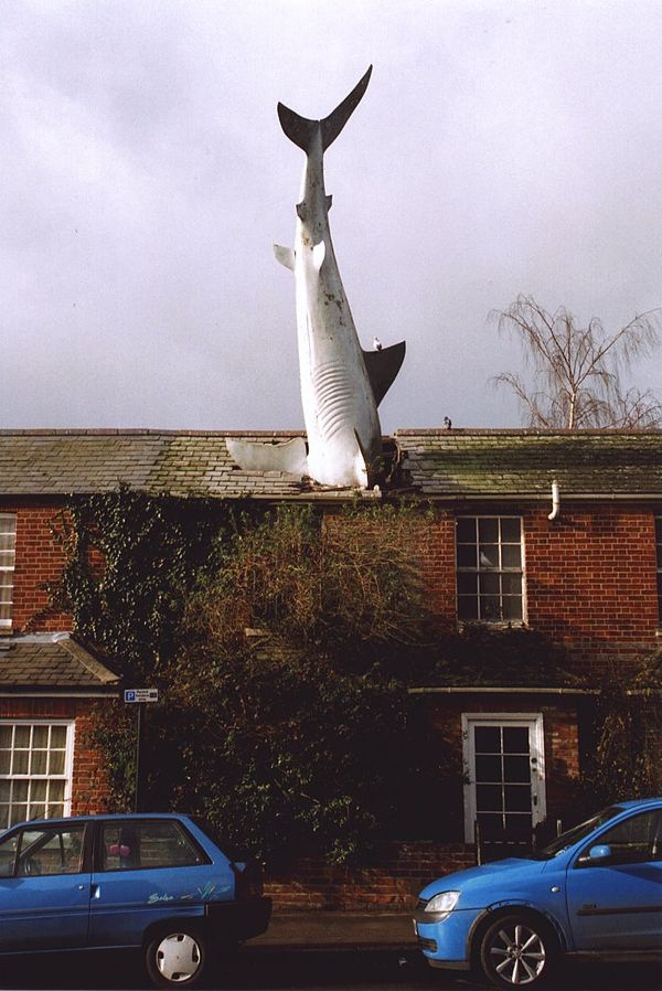 house with shark tail sticking out roof