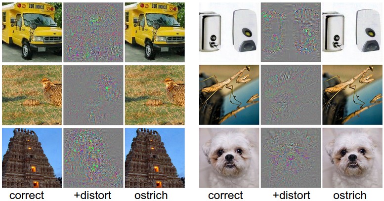 adding distortion to values in 6 images makes them all labelled ostrich