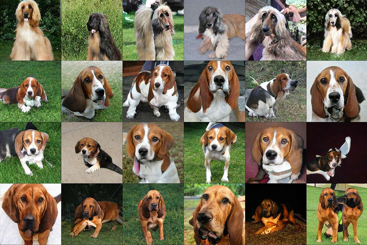 synthetic dogs