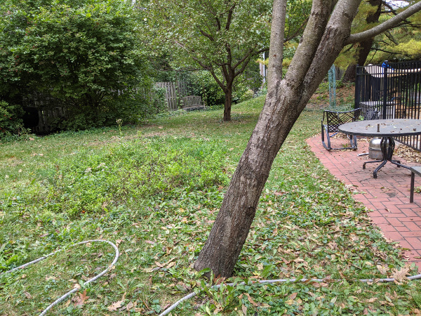 backyard as seen from one eye