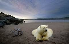 Description: Description: Description: Description: Description: Description: Description: Description: Description: Description: Description: Description: Description: Description: Description: Description: Description: Description: Description: Description: Description: Description: Description: Description: Description: Description: Description: Description: Description: Description: Description: Description: Description: Description: Description: Description: Description: Description: Description: Description: Description: Description: Description: Description: Description: Description: Description: Description: Description: Description: Description: Description: Description: Description: Description: Description: Description: Description: Description: Description: Description: Description: Description: Description: Description: Description: Description: Description: Description: Description: Description: Description: Description: Description: Description: Description: Description: Description: Description: Description: Description: cloning_teaser