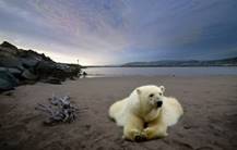 Description: Description: Description: Description: Description: Description: Description: Description: Description: Description: Description: Description: Description: Description: Description: Description: Description: Description: Description: Description: Description: Description: Description: Description: Description: Description: Description: Description: Description: Description: Description: Description: Description: Description: Description: Description: Description: Description: Description: Description: Description: Description: Description: Description: Description: Description: Description: Description: Description: Description: Description: Description: Description: Description: Description: Description: Description: Description: Description: Description: Description: Description: Description: Description: Description: Description: Description: Description: Description: Description: Description: Description: Description: Description: Description: Description: Description: Description: Description: Description: Description: cloning_teaser