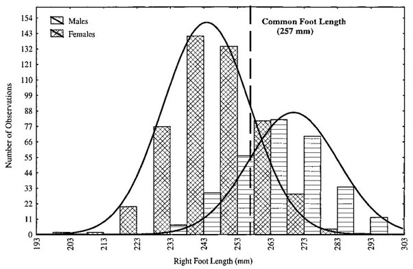 Example image